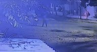 Reckless firecracker bursting claims life of 16