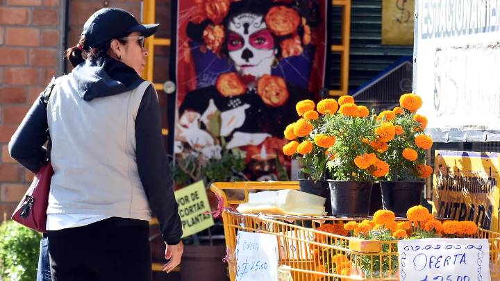 Cempasúchil inunda Irapuato; vendedores ofrecen ramos desde 20 pesos en panteones