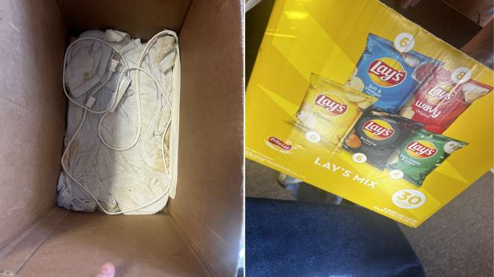 Virginia Rescuers’ Hearts Stop When They Discover What’s Hidden In Small Sidewalk Box