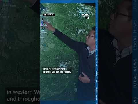 Microsoft's digital crimes unit battles cyber threats from Russia to Redmond