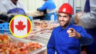 Canadá da trabajo a mexicanos con primaria terminada; hay sueldo de 34 mil pesos