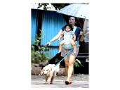 Chandigarh Tightens Leash: New Dog Bye