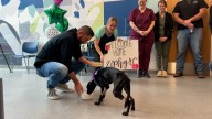 'Night-and-day difference': Beloved puppy returns to Capital Humane Society