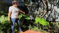 A long-lost ancient Roman artifact reappears in a New Orleans backyard