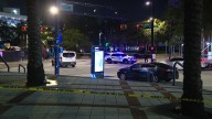 Tampa police sharing details after in-custody suspect struck by vehicle dies