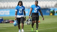 ‘Laws of the jungle’ define the tone for the Lions backfield