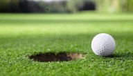 WMass Golf Roundup: Minnechaug defeats East Longmeadow, remains undefeated