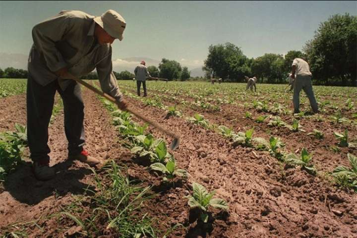Extienden por un año la compatibilidad entre trabajo rural y planes sociales