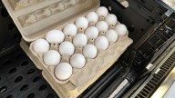 Voluntary recall affects 6 million eggs due to outbreak