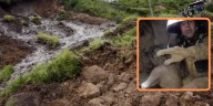 Dramático rescate en Santander: pareja quedó atrapada en el lodo tras un fuerte aguacero