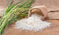 Indian rice varieties set to feature in Kimchi, Sushi, Dumplings, and Burritos amid export drive