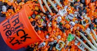 WV Poison Center urges Halloween safety for children and pets
