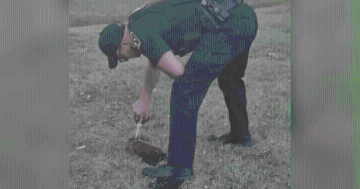 'Every call matters': Police called in after local squirrel gets tied up in knots