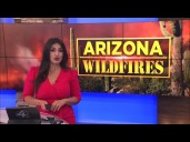 Stanford Fire in Cochise County grows to 160 acres
