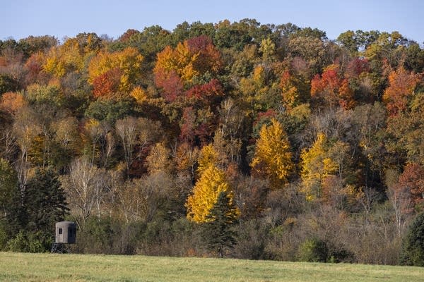 Photos: Falls colors in the St. Croix River Valley