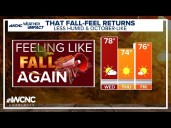 Fall feels through the week
