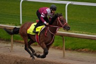 Horse racing column: A forever wait can end in the Breeders’ Cup Classic