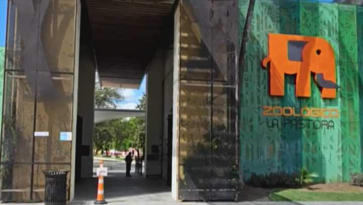 Retiran Sellos de Clausura y Reabren Zoológico La Pastora en Nuevo León