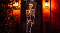 DIY A Spooky Wall Of Bones For A Bold Accent Wall Piece Using Dollar Tree Items
