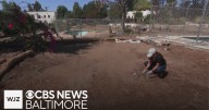 New report finds ground where California wildfires raged may now be toxic