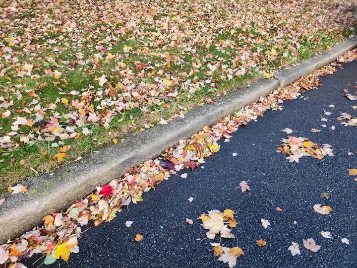 NJ weather: Wet then windy Monday, turning cooler this week