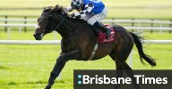 Melbourne Cup 2025: Expert analysis of the top 30 horses and their chances