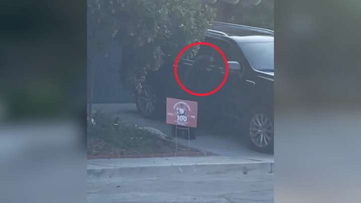 Video: Bear opens car door, rips up seat and steals Pop