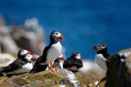 Highlands, islands, bridges and walls: A geography tour of the UK with the Country Life Quiz of the Day