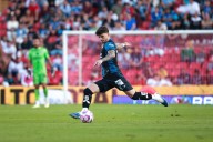 Gallos rugen en casa