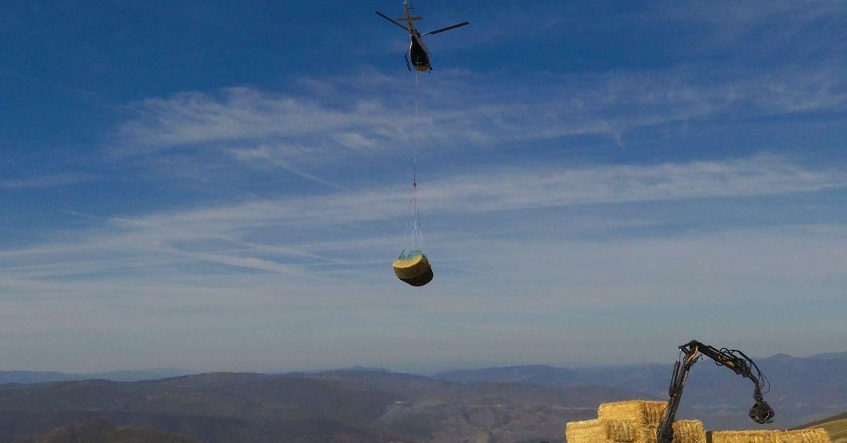 Alimentación desde el aire a la fauna afectada por los fuegos
