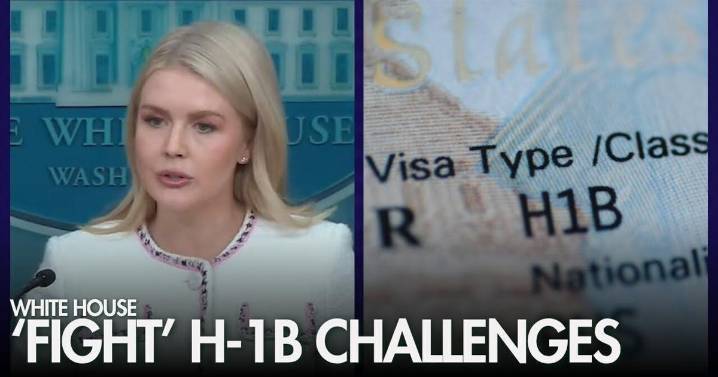 WATCH: White House vows to 'fight' lawsuits over $100,000 H