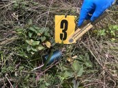 Policía frustró atentado con explosivos que pretendía afectar a la población civil y la fuerza pública en La Plata, Huila