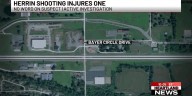 Herrin shooting injures one