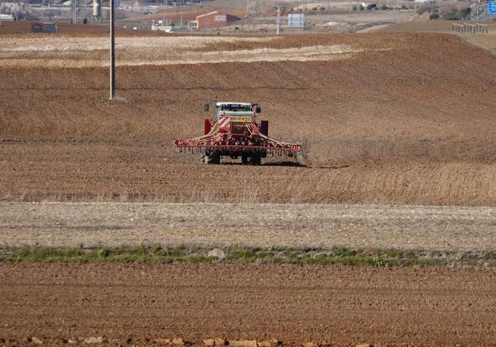 Preocupación por la ausencia de lluvias y 'desánimo': «Al agricultor este año le da igual dejar barbecho»