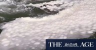 Authorities look to fight algae bloom disinformation