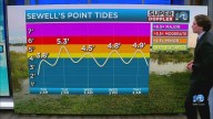 Coastal flood warnings, advisories in effect across region