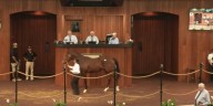 Day 2 of OBS October Yearling Sale nets more than $3.6 million