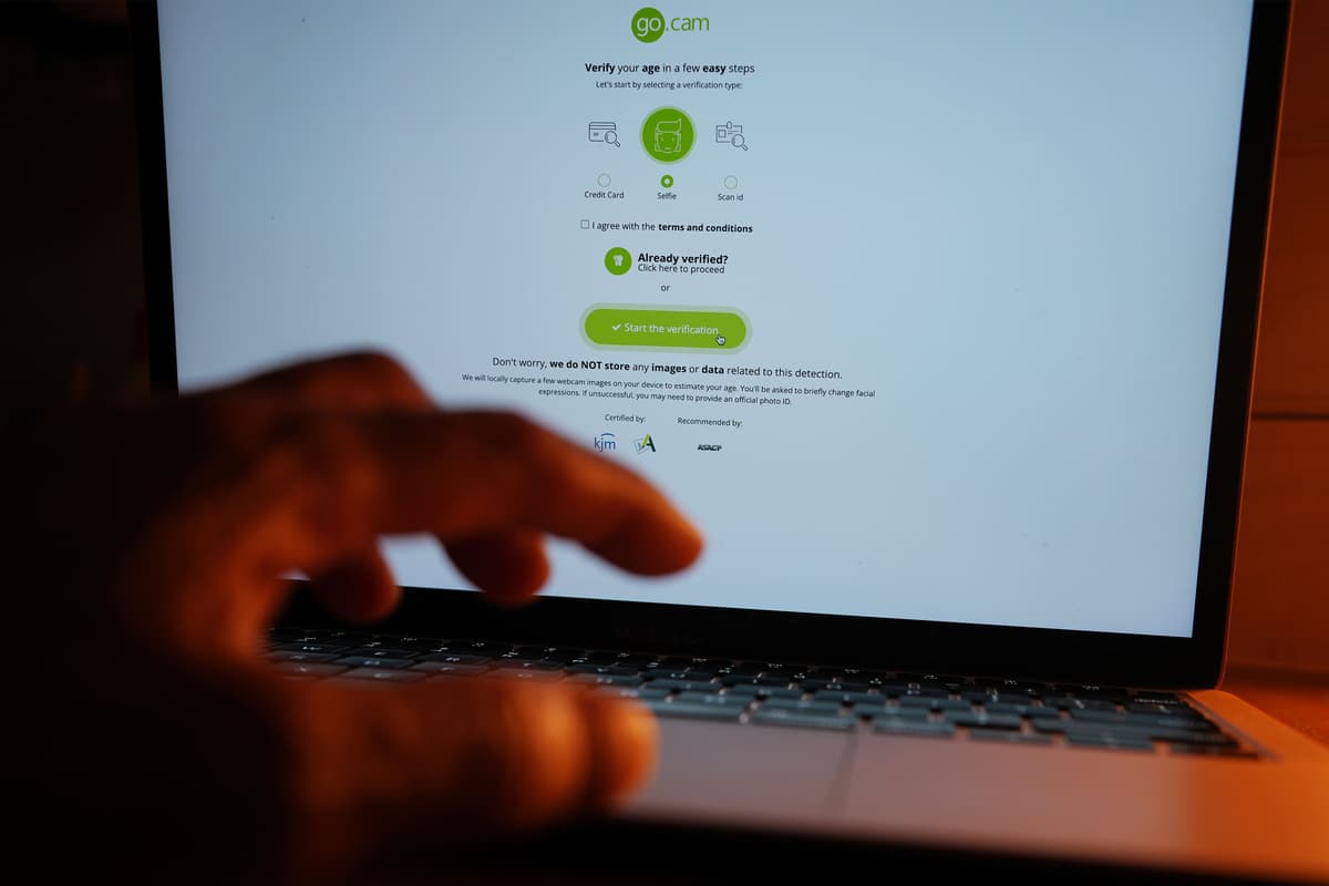 ‘No plans’ to ban VPNs but ‘nothing off the table’ to bolster online safety