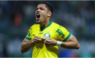 Where to watch LDU Quito vs Palmeiras in the USA: 2025 Copa Libertadores