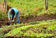 Proyecto de ley busca tumbar norma del PND que redefine el uso del suelo en Bogotá y la Sabana
