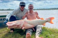 Pescadores capturaron un surubí albino de 50 kilos y lo devolvieron al río Uruguay