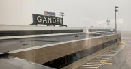 Airport warns about catfishing as people arrive to meet loved ones who don't exist