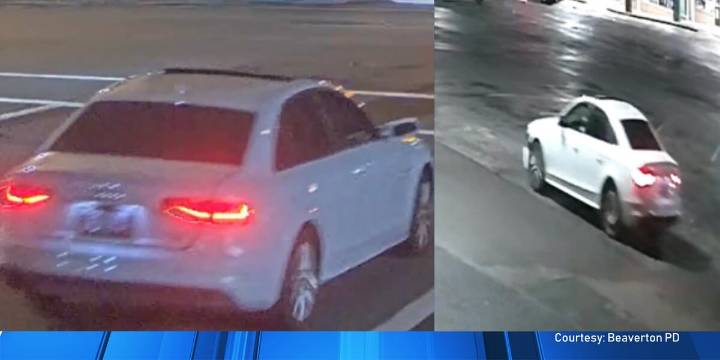 Police seek suspect in deadly hit