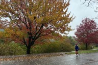 Drought has muted this year's leaf-peeping season, but pockets of brilliant colors remain