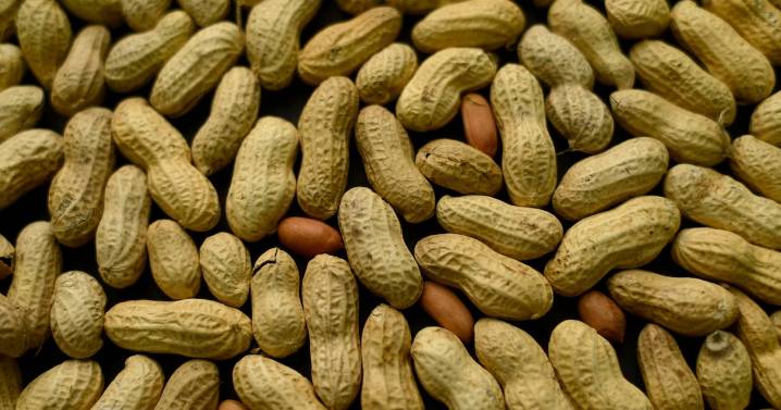 60,000 kids have avoided developing peanut allergies after this medical advice in 2015, study says