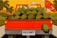 The Rise of Durian Diplomacy