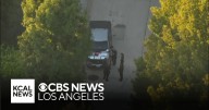 LAPD searching for murder suspect in Westwood