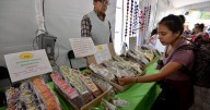 ¿Eres emprendedor o quieres emprender? Considera estas recomendaciones para no abandonar tu sueño
