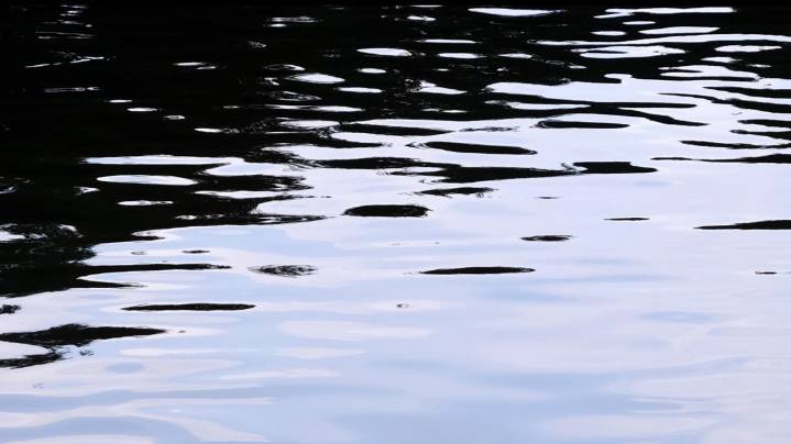 One rescued from river following pursuit in Snohomish County