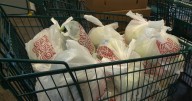 House Democrats, Rep. Tokuda calls on USDA to protect SNAP during government shutdown